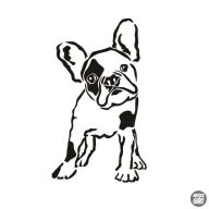 Francia bulldog matrica 13