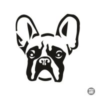 Francia bulldog matrica 15