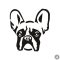 Francia bulldog matrica 15