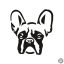 Francia bulldog matrica 15