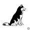 Husky matrica 6