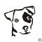 Jack russel terrier matrica 0