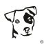 Jack russel terrier matrica 0
