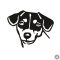 Jack russel terrier matrica 1