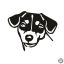 Jack russel terrier matrica 1