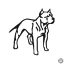 Pitbull matrica 5