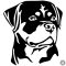 Rottweiler matrica 4