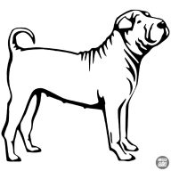 Shar pei matrica 0