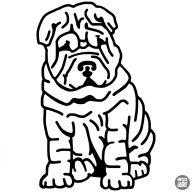 Shar pei matrica 1