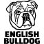 Angol bulldog matrica 4