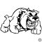 Angol bulldog matrica 5