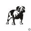 Angol bulldog matrica 11