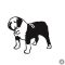 Angol bulldog matrica 14