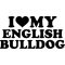 Angol bulldog matrica 21
