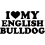 Angol bulldog matrica 21