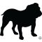 Angol bulldog matrica 22