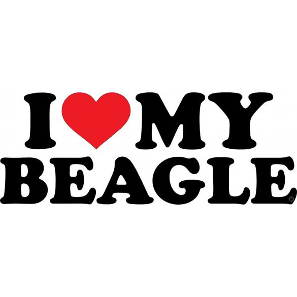 Beagle matrica 17