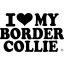 Border collie matrica 13