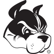 Boston terrier matrica 13