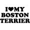Boston terrier matrica 15