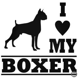 Boxer matrica 17