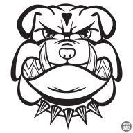 Bulldog matrica 17