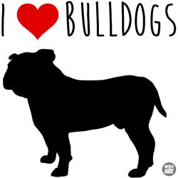 Bulldog matrica 21