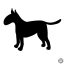 Bullterrier matrica 11