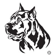 Cane corso matrica 9