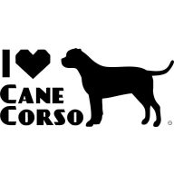 Cane corso matrica 11
