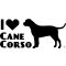 Cane corso matrica 11