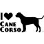Cane corso matrica 11