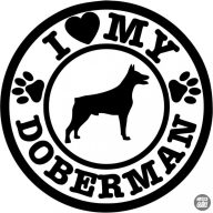 Dobermann matrica 18