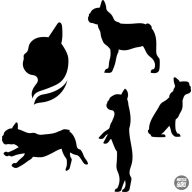 Francia bulldog matrica szett