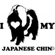 Japán csin matrica 5