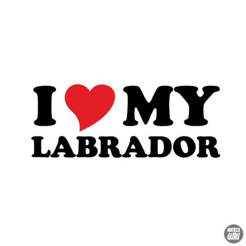 Labrador matrica 17