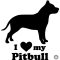 Pitbull matrica 13