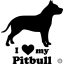 Pitbull matrica 13