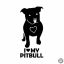Pitbull matrica 15