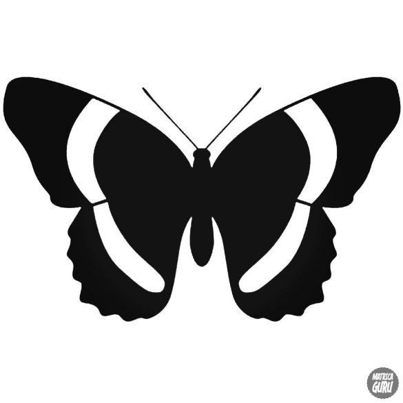 Pillangó matrica 6