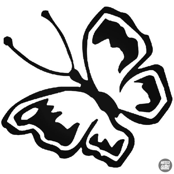 Pillangó matrica 7