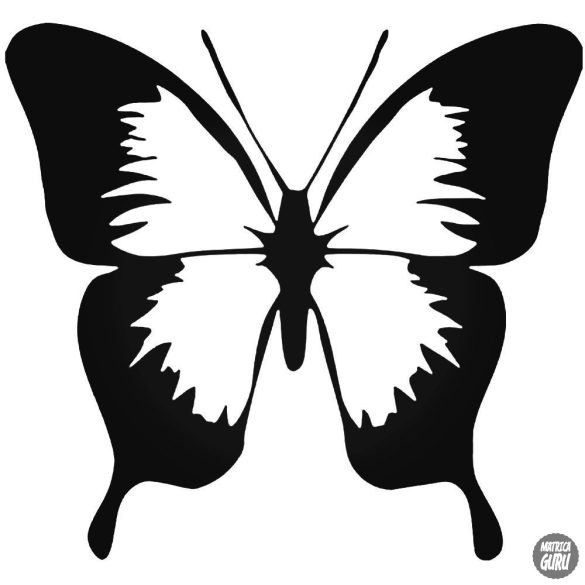 Pillangó matrica 10