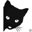 Figyelő Macska matrica