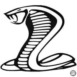 Cobra matrica