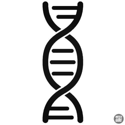 DNS Autómatrica