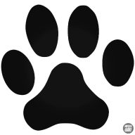 Kutyatappancs matrica 1