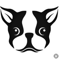 Francia bulldog fej matrica