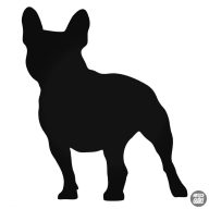 Francia bulldog "1" matrica