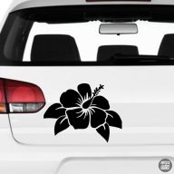 Hibiszkusz Autómatrica