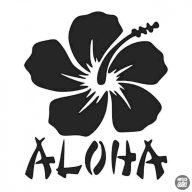 Hawaii Aloha felirat és virág - Autómatrica